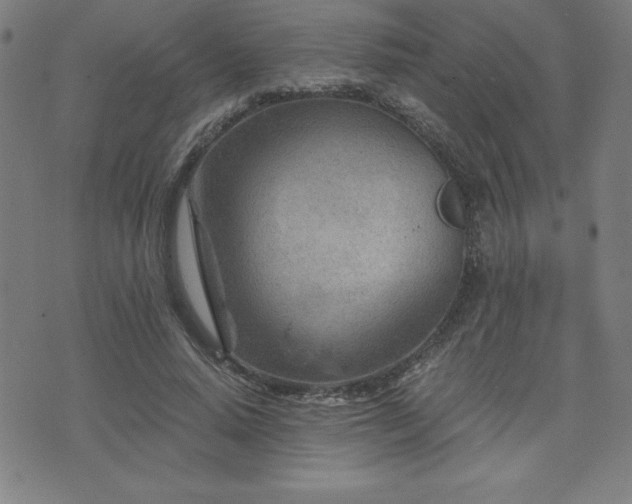 X0000073430640200607281152