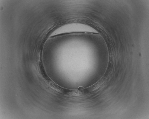 X0000073430652200607281152