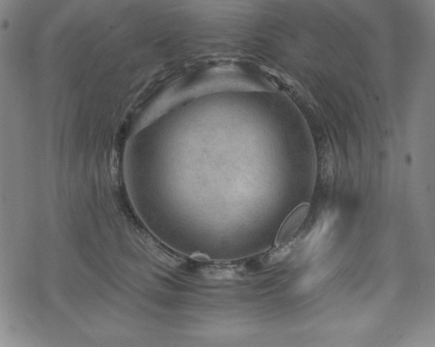 X0000073430661200607281152
