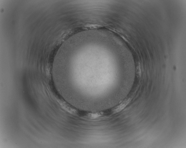X0000073430662200607281152