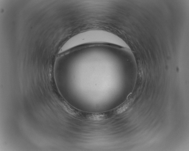 X0000073430664200607281152
