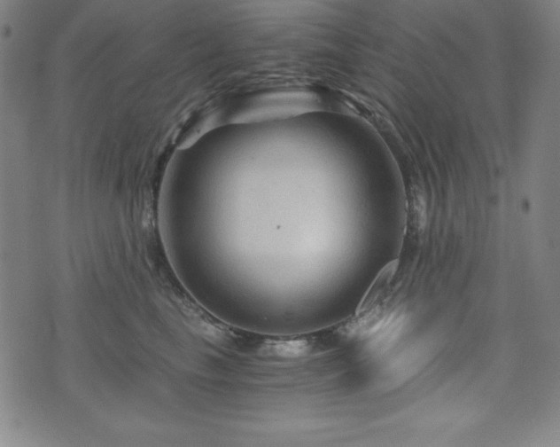 X0000073430665200607281152