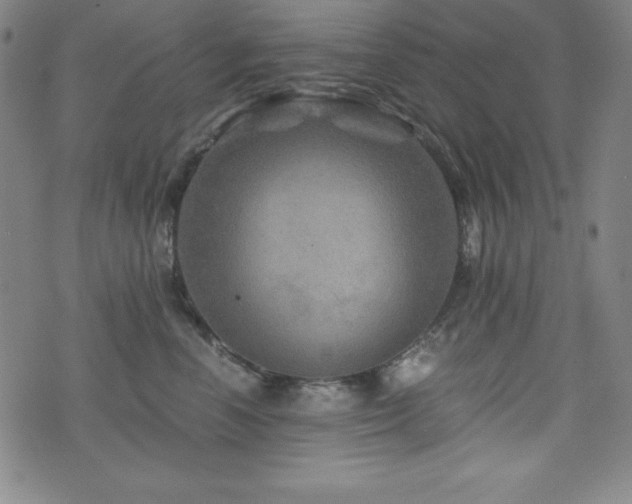 X0000073430666200607281153