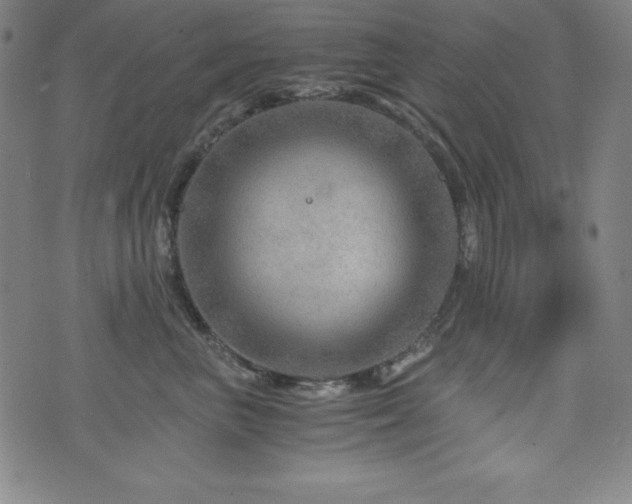 X0000073430667200607281153
