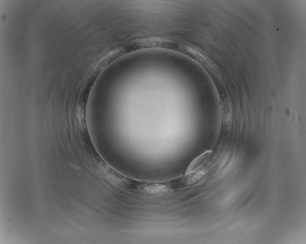 X0000073430669200607281153