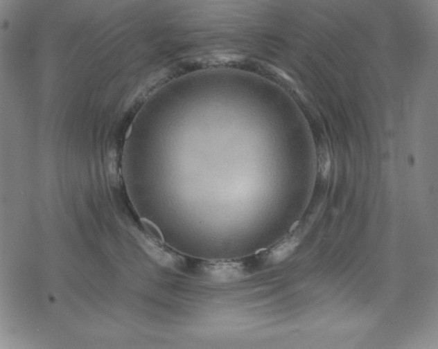 X0000073430670200607281153