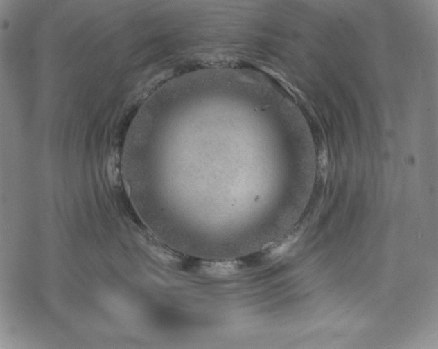 X0000073430671200607281153