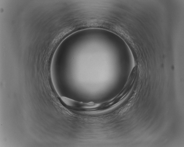 X0000073430673200607281152