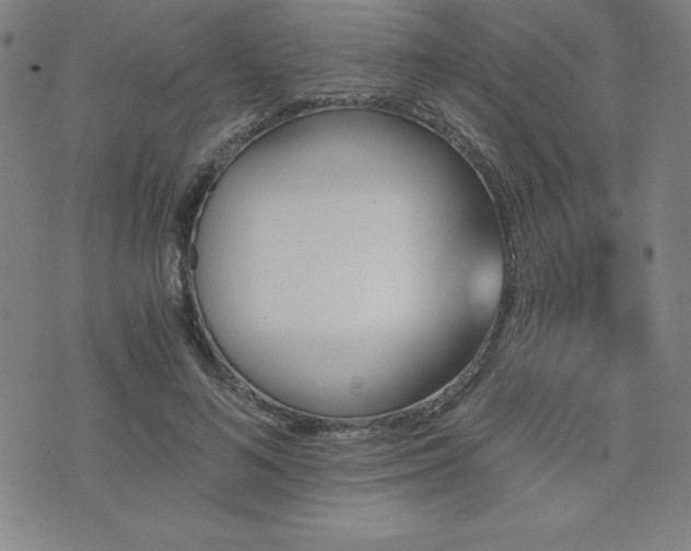 X0000073430692200607281152