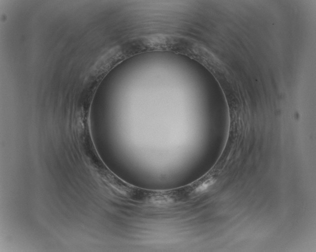 X0000073430702200607281151