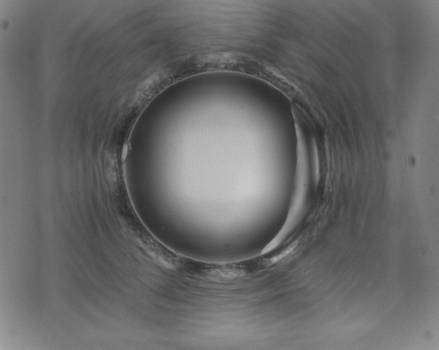 X0000073430708200607281151