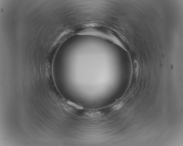 X0000073430712200607281151