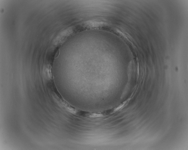X0000073430718200607281151