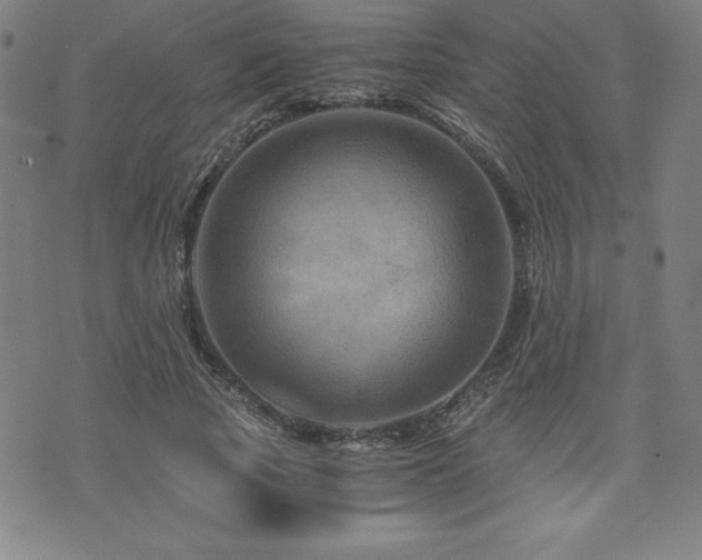 X0000073430737200607281151