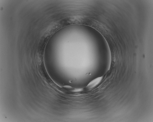 X0000073430751200607281151