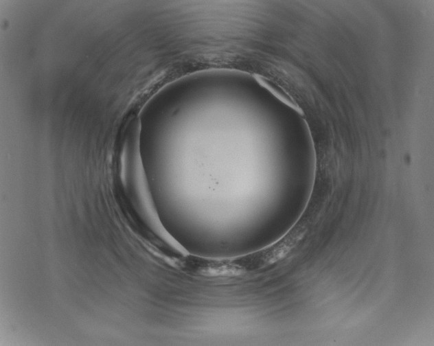 X0000073430752200607281151