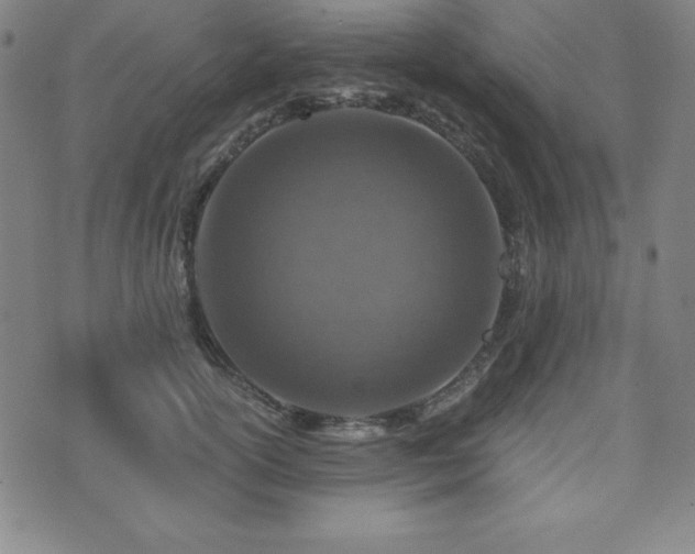 X0000073430754200607281151