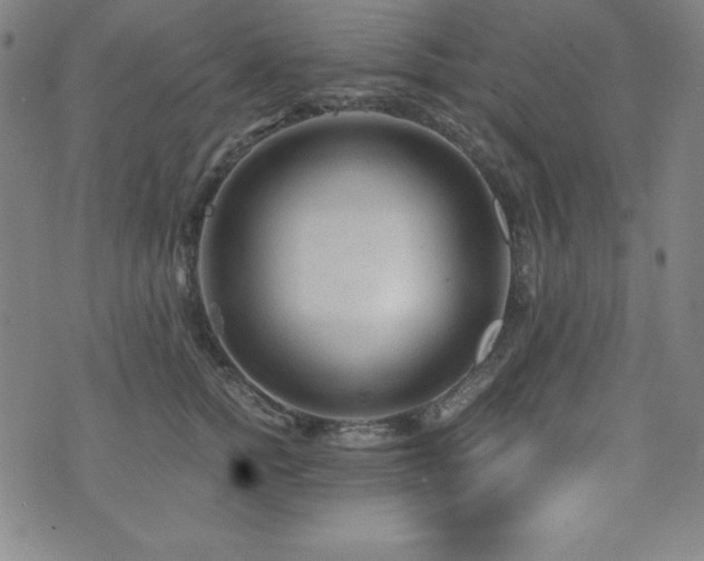 X0000073430758200607281151