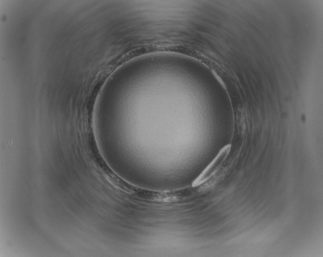 X0000073430760200607281151