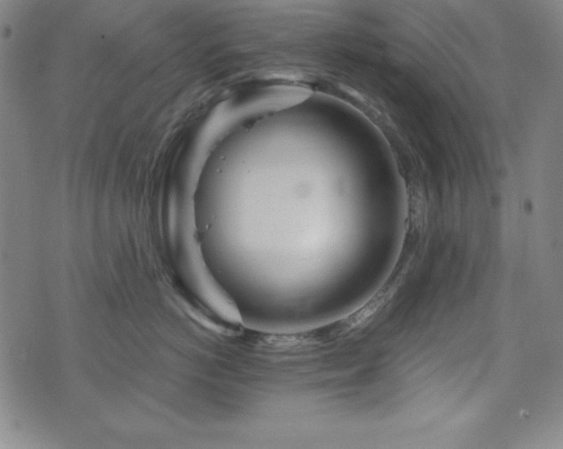 X0000073430766200607281151