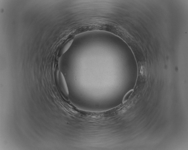 X0000073430771200607281150