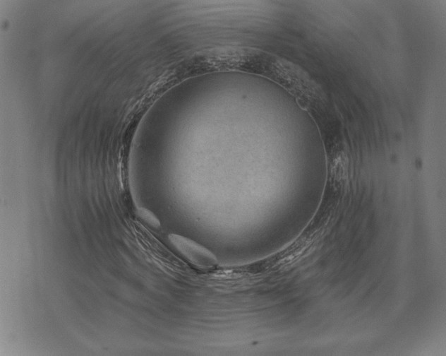 X0000073430772200607281150