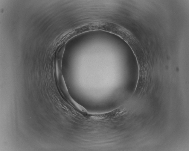 X0000073430773200607281150