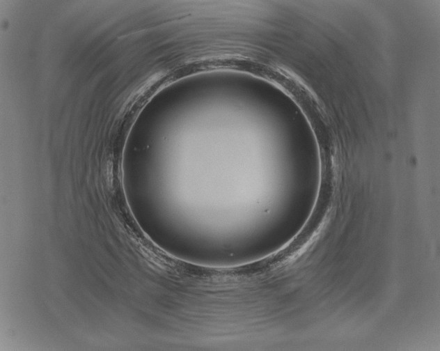 X0000073430777200607281150