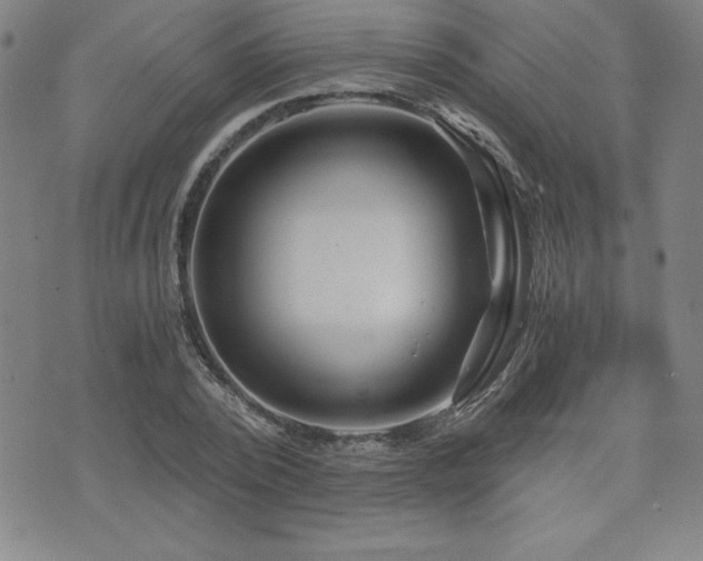 X0000073430784200607281150