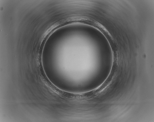 X0000073430786200607281150