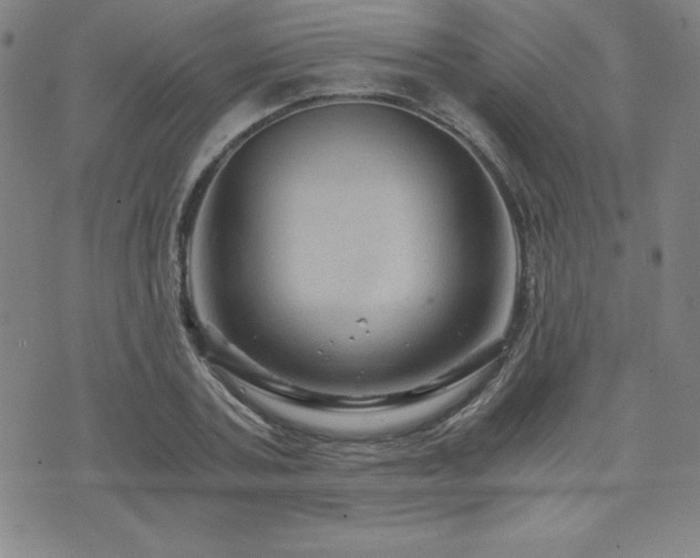 X0000073430787200607281150