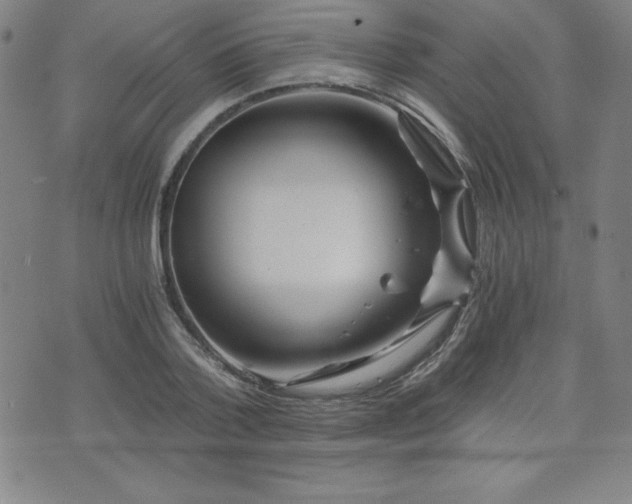 X0000073430788200607281150