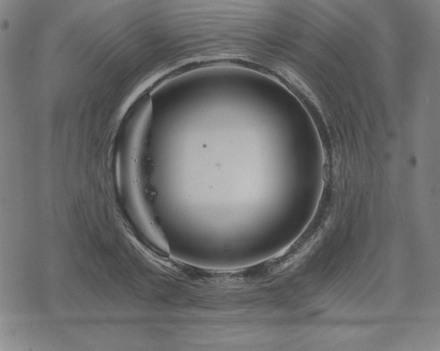 X0000073430789200607281150
