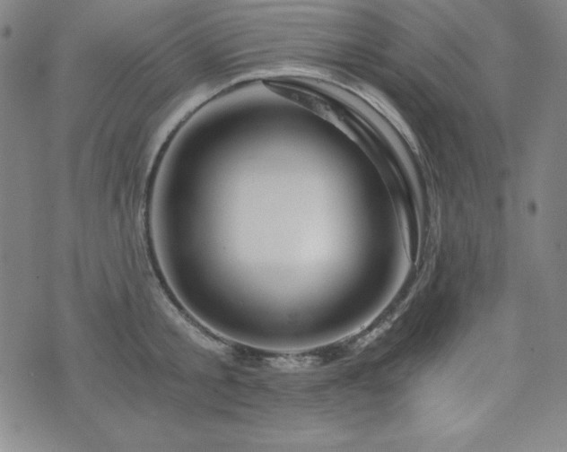 X0000073430805200607281150