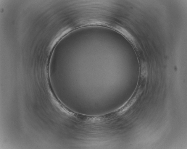 X0000073430806200607281150