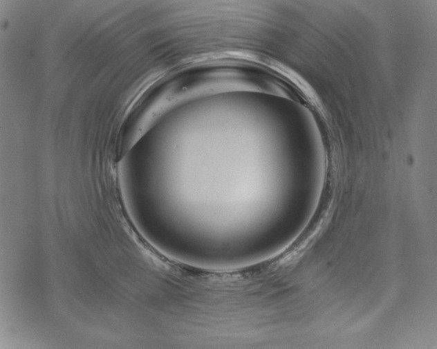 X0000073430809200607281150