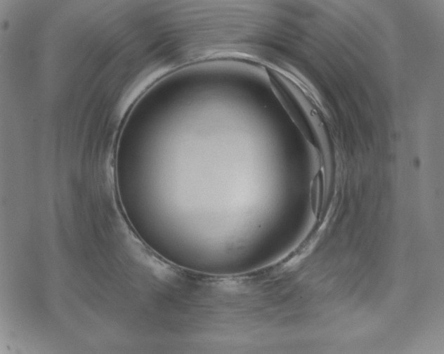 X0000073430814200607281150