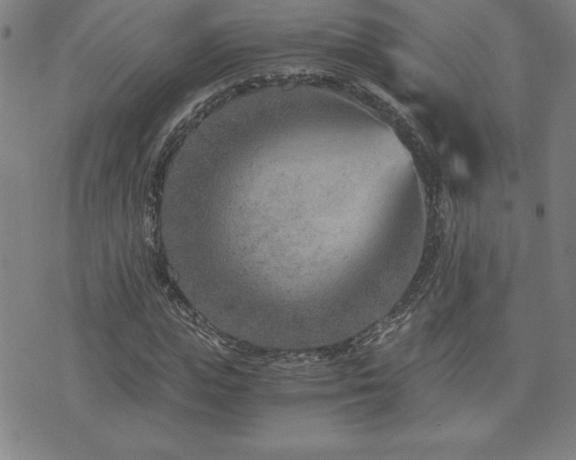 X0000073430823200607281149