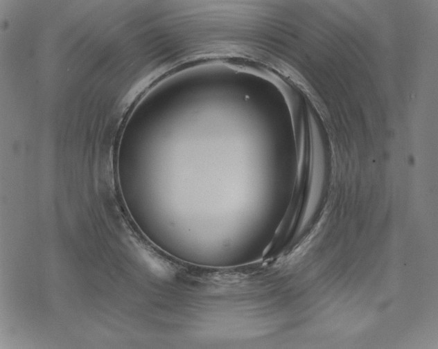 X0000073430842200607281149