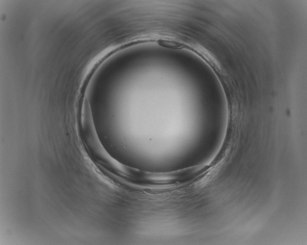 X0000073430854200607281149