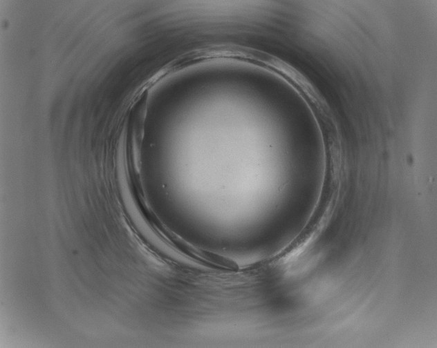 X0000073430857200607281149