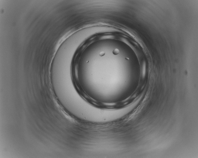 X0000073430858200607281149