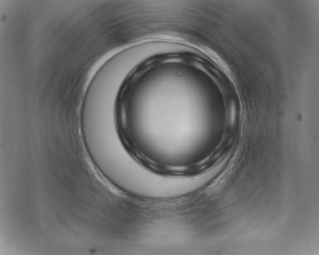 X0000073430862200607281149