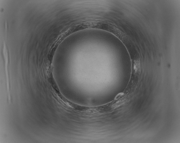X0000073430867200607281149