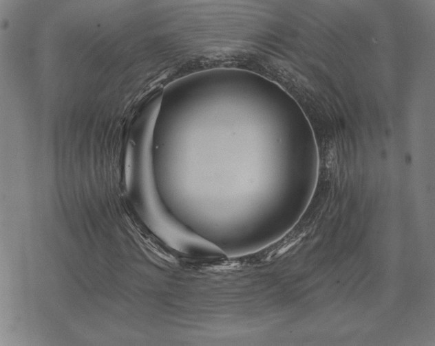 X0000073430868200607281149