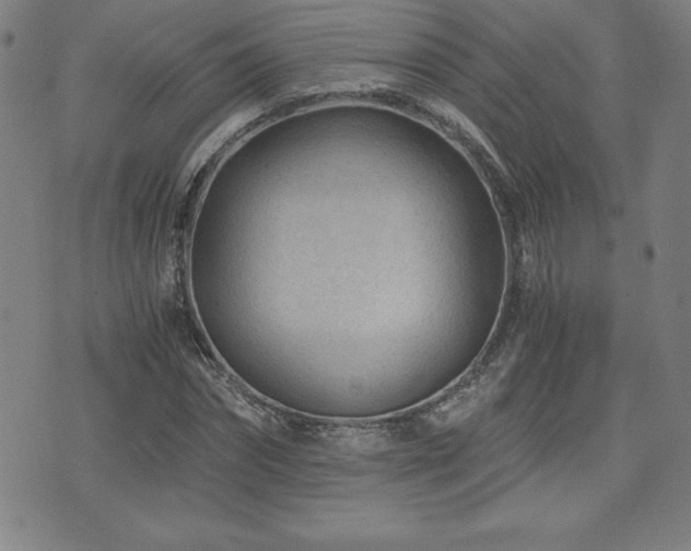 X0000073430874200607281149