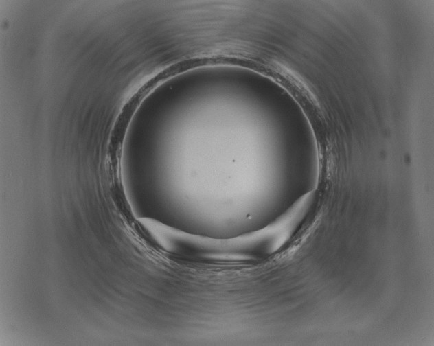 X0000073430876200607281149