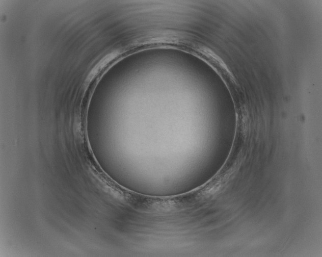 X0000073430882200607281148