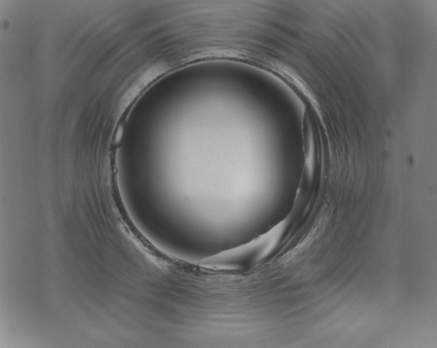 X0000073430898200607281148