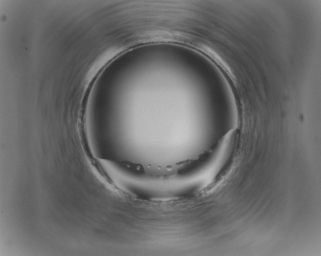 X0000073430901200607281148